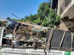 Best Foreclosure Cleanout  in Burgaw, NC